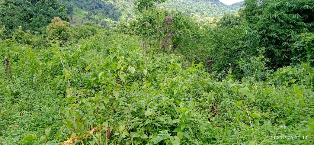 C:\Users\Nitro5\Downloads\mewan yt\WhatsApp Image 2023-03-14 at 5.54.31 PM.jpeg